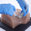 Simulador de acesso venoso jugular guiado por ultrassom